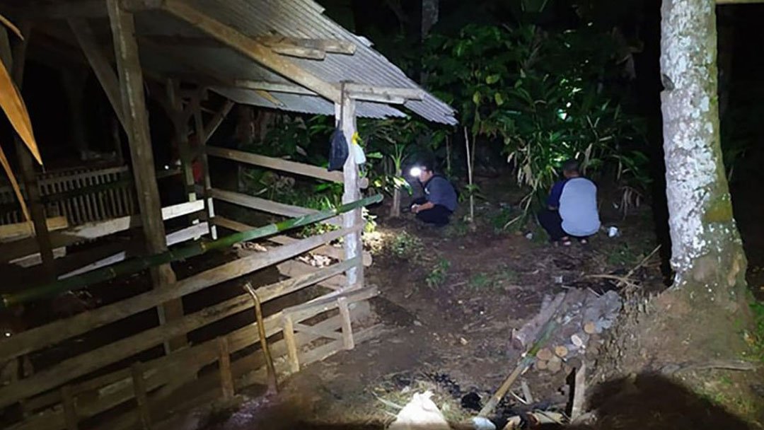 Penangkapan Nyamuk Malam Hari