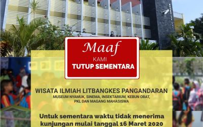 Museum Nyamuk Sementara Tutup