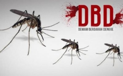 Rekomendasi Untuk Memperkuat Kebijakan Pengendalian Penyakit Demam Berdarah Dengue (DBD) di Kota Tasikmalaya