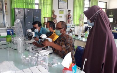 Identifikasi Larva Nyamuk di Laboratorium Stikes Kuningan