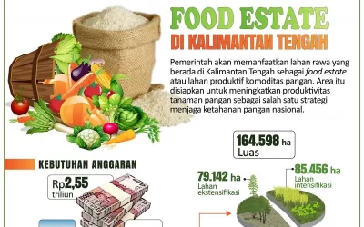 Food Estate, Antara Keuntungan dan Kerugian