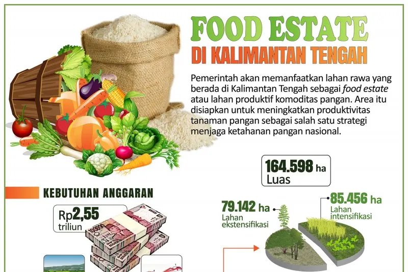 Food Estate, Antara Keuntungan dan Kerugian