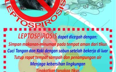 KALA MUSIM PENGHUJAN, CEGAH LEPTOSPIROSIS.