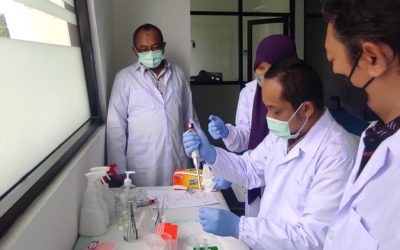 Pemeriksaan Leptospira Sampel Ginjal Tikus dari Legokjawa