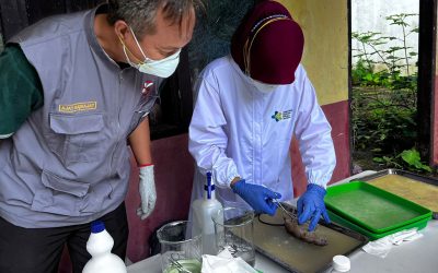 Kegiatan Surveilans Leptospirosis di Pangandaran